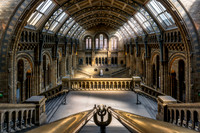 London's Natral History Museum