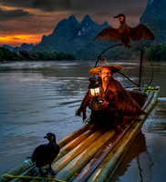 Cormorant Fisherman