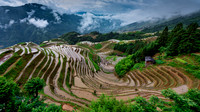 Terraces